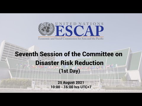 Seventh Session of the Committee on Disaster Risk Reduction (1st Day)