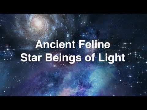 Exploring the Mysteries of the Blue Celestial Feline Star Beings!