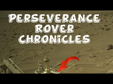 Martian Expedition InsightsMars Uncovered: Perseverance Rover&#039;s