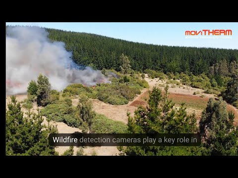 How Thermal Imaging Enhances Wildfire Detection