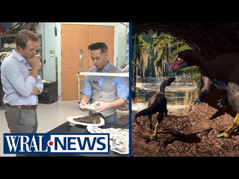 Walkthrough of a New Species of Dinosaur Unearthed by North Carolina Paleontologists