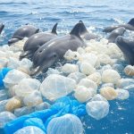 The Ocean’s Secret Cleanup Crew: How Nature Itself Might Solve Our Plastic Problem